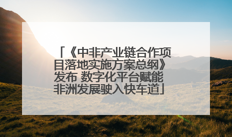 《中非产业链合作项目落地实施方案总纲》发布 数字化平台赋能非洲发展驶入快车道