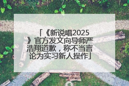 《新说唱2025》官方发文向导师严浩翔道歉，称不当言论为实习新人操作