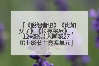 《脱缰者也》《比如父子》《长夜将尽》，12部影片入围第27届上影节主竞赛单元