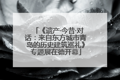 《遗产·今昔·对话：来自东方城市青岛的历史建筑巡礼》专题展在德开幕