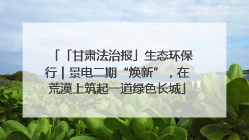 「甘肃法治报」生态环保行｜景电二期“焕新”，在荒漠上筑起一道绿色长城