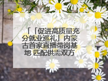 「促进高质量充分就业巡礼」内蒙古首家直播带岗基地 匹配供需双方 促进上岗就业