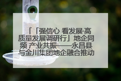 「强信心 看发展·高质量发展调研行」地企同频 产业共振——永昌县与金川集团地企融合推动重大项目建设