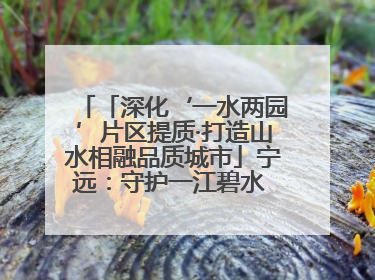 「深化‘一水两园’片区提质·打造山水相融品质城市」宁远：守护一江碧水 共享幸福河湖
