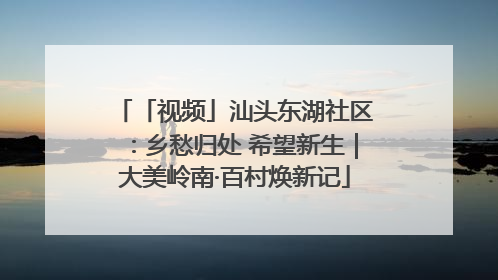 「视频」汕头东湖社区：乡愁归处 希望新生｜大美岭南·百村焕新记
