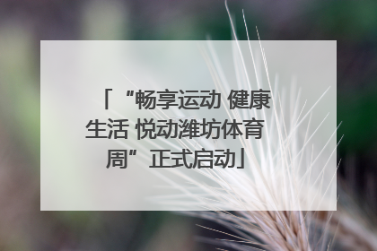 “畅享运动 健康生活 悦动潍坊体育周”正式启动