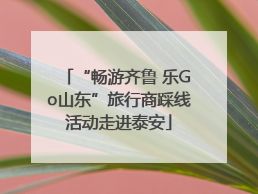 “畅游齐鲁 乐Go山东”旅行商踩线活动走进泰安