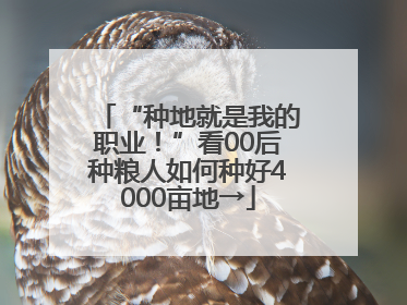 “种地就是我的职业！”看00后种粮人如何种好4000亩地→