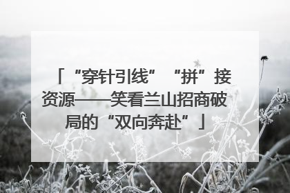 “穿针引线”“拼”接资源——笑看兰山招商破局的“双向奔赴”