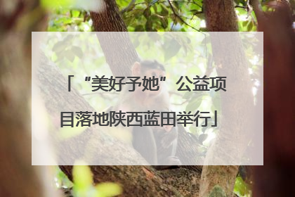 “美好予她”公益项目落地陕西蓝田举行