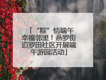 “粽”情端午 幸福邻里！燕罗街道罗田社区开展端午游园活动
