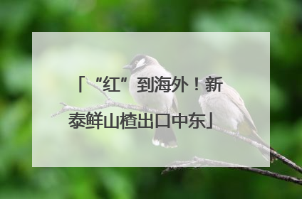 “红”到海外！新泰鲜山楂出口中东