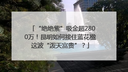 “绝绝紫”吸金超2800万！昆明如何接住蓝花楹这波“泼天富贵”？