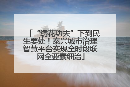“绣花功夫”下到民生要处！泰兴城市治理智慧平台实现全时段联网全要素细治