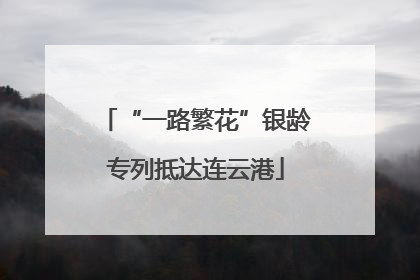 “一路繁花”银龄专列抵达连云港