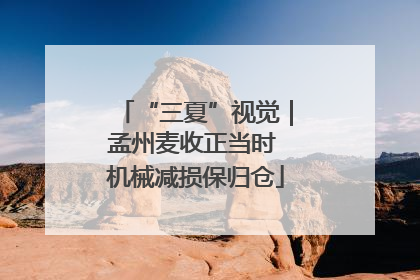 “三夏”视觉｜孟州麦收正当时 机械减损保归仓