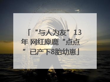 “与人为友”13年 网红麋鹿“点点”已产下8胎幼崽