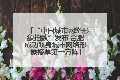 “中国城市网络形象指数”发布 合肥成功跻身城市网络形象榜单第一方阵