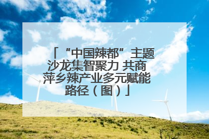 “中国辣都”主题沙龙集智聚力 共商萍乡辣产业多元赋能路径（图）