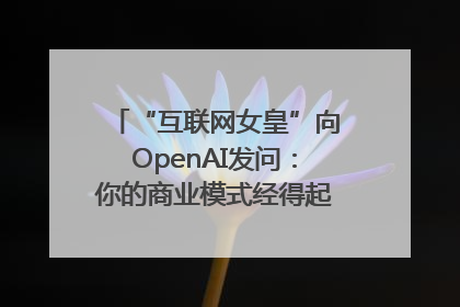“互联网女皇”向OpenAI发问：你的商业模式经得起价格战考验么？