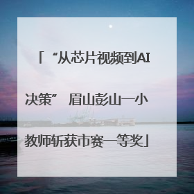 “从芯片视频到AI决策” 眉山彭山一小教师斩获市赛一等奖