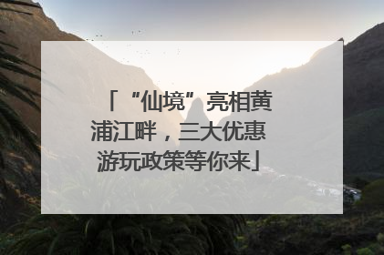 “仙境”亮相黄浦江畔，三大优惠游玩政策等你来