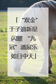 “双金”于子迪新星闪耀 “九冠”潘展乐如日中天