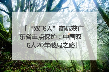 “双飞人”商标获广东省重点保护：中国双飞人20年破局之路