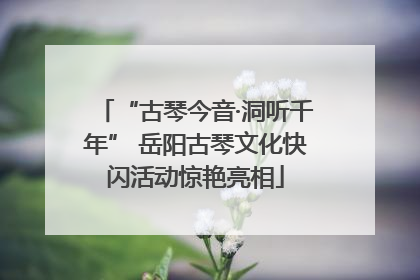“古琴今音·洞听千年” 岳阳古琴文化快闪活动惊艳亮相