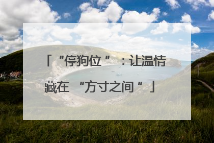 “停狗位 ”：让温情藏在 “方寸之间 ”