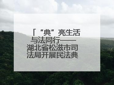 “典”亮生活 与法同行——湖北省松滋市司法局开展民法典宣传系列活动