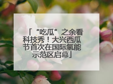 “吃瓜”之余看科技秀！大兴西瓜节首次在国际氢能示范区启幕