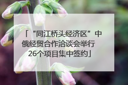 “同江桥头经济区”中俄经贸合作洽谈会举行 26个项目集中签约