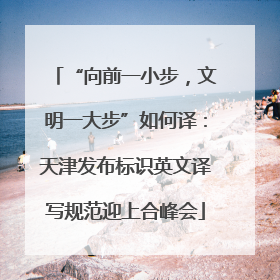 “向前一小步，文明一大步”如何译：天津发布标识英文译写规范迎上合峰会