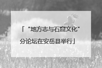 “地方志与石窟文化”分论坛在安岳县举行
