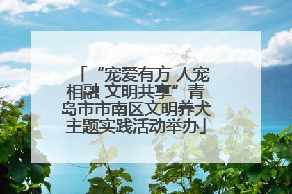 “宠爱有方 人宠相融 文明共享”青岛市市南区文明养犬主题实践活动举办