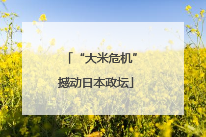 “大米危机”撼动日本政坛