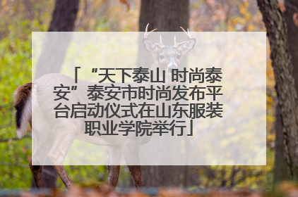 “天下泰山 时尚泰安”泰安市时尚发布平台启动仪式在山东服装职业学院举行