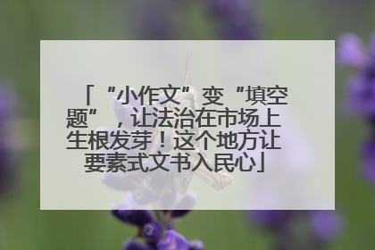 “小作文”变“填空题”，让法治在市场上生根发芽！这个地方让要素式文书入民心