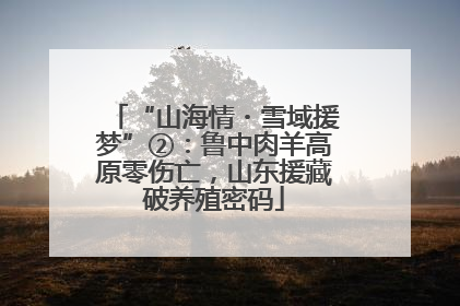 “山海情・雪域援梦”②：鲁中肉羊高原零伤亡，山东援藏破养殖密码