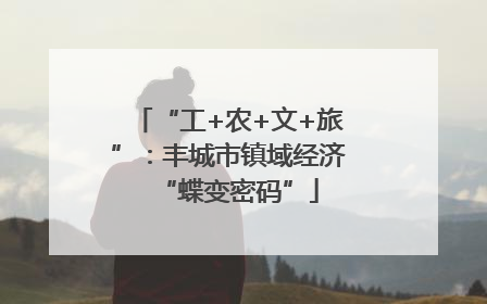 “工+农+文+旅”：丰城市镇域经济“蝶变密码”