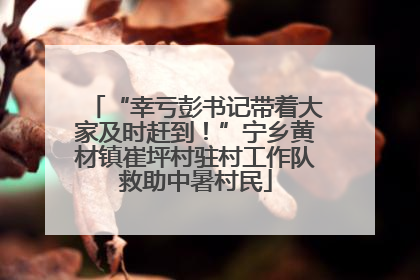 “幸亏彭书记带着大家及时赶到！”宁乡黄材镇崔坪村驻村工作队救助中暑村民