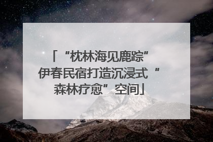“枕林海见鹿踪” 伊春民宿打造沉浸式“森林疗愈”空间