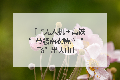 “无人机＋高铁”带赣南农特产“飞”出大山