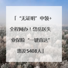 “无证明”申领+全程网办！岱岳区失业保险“一键直达”惠及5408人