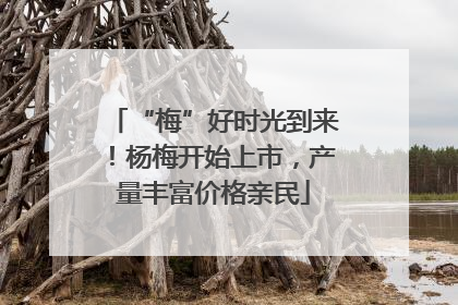 “梅”好时光到来！杨梅开始上市，产量丰富价格亲民