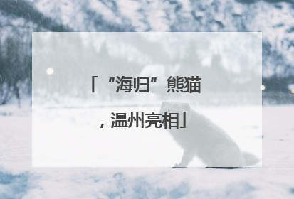 “海归”熊猫，温州亮相