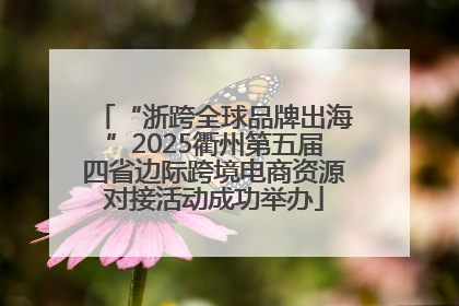 “浙跨全球品牌出海”2025衢州第五届四省边际跨境电商资源对接活动成功举办