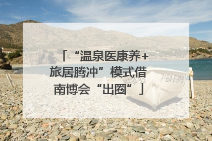 “温泉医康养+旅居腾冲”模式借南博会“出圈”