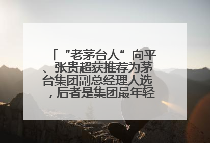 “老茅台人”向平、张贵超获推荐为茅台集团副总经理人选，后者是集团最年轻党委委员